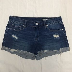 Blanknyc The Fulton Roll up short